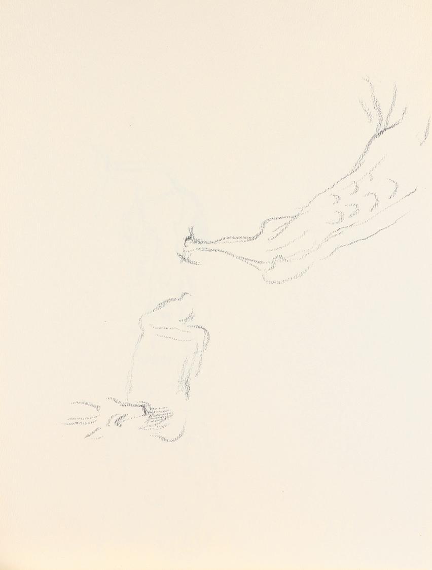 Alfred Wickenburg, Reh und Pfau, um 1945, Graphit auf Papier, Blattmaße: 21 × 28,5 cm, Privatbe ...