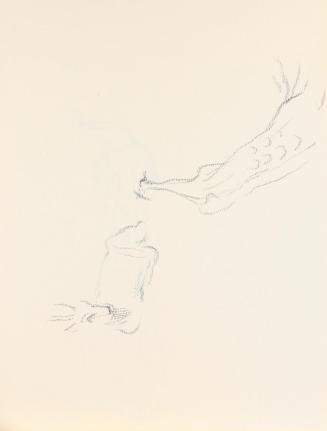 Alfred Wickenburg, Reh und Pfau, um 1945, Graphit auf Papier, Blattmaße: 21 × 28,5 cm, Privatbe ...