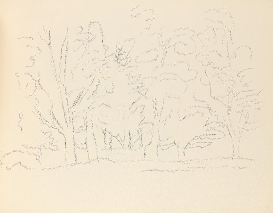 Alfred Wickenburg, Waldstudie, um 1945, Graphit auf Papier, Blattmaße: 21 × 28,5 cm, Privatbesi ...