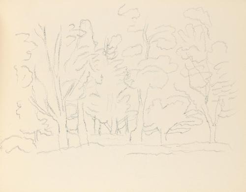 Alfred Wickenburg, Waldstudie, um 1945, Graphit auf Papier, Blattmaße: 21 × 28,5 cm, Privatbesi ...