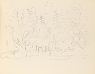 Alfred Wickenburg, Waldstudie, um 1945, Graphit auf Papier, Blattmaße: 21 × 28,5 cm, Privatbesi ...