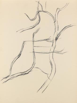 Alfred Wickenburg, Äste, 1950/1955, Kohle auf Papier, Blattmaße: 28 × 21 cm, Privatbesitz