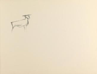 Alfred Wickenburg, Reh, 1950/1955, Kohle auf Papier, Blattmaße: 21 × 28 cm, Privatbesitz