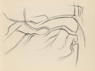 Alfred Wickenburg, Äste, 1950/1955, Kohle auf Papier, Blattmaße: 21 × 28 cm, Privatbesitz