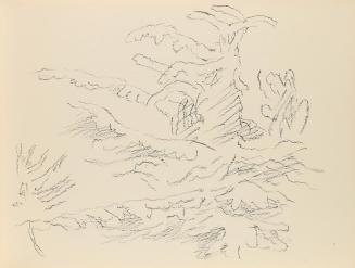 Alfred Wickenburg, Pflanzen, 1950/1955, Kohle auf Papier, Blattmaße: 21 × 28 cm, Privatbesitz