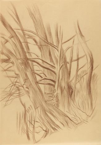 Alfred Wickenburg, Baumgruppe, 1941, Braune Kreide auf Papier, Blattmaße: 29,7 × 20,7 cm, Priva ...