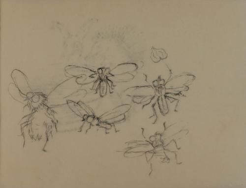 Alfred Wickenburg, Fliegen, 1952, Kohle auf Transparentpapier, Blattmaße: 14,2 × 19,2 cm, Leihg ...