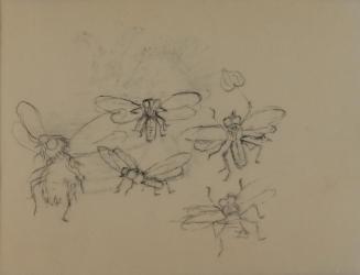 Alfred Wickenburg, Fliegen, 1952, Kohle auf Transparentpapier, Blattmaße: 14,2 × 19,2 cm, Leihg ...