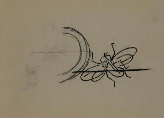 Alfred Wickenburg, Fliege, 1952, Tusche über Kohle auf Transparentpapier, Blattmaße: 14,2 × 19, ...