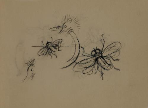 Alfred Wickenburg, Fliegen und Igel, 1952, Tusche über Kohle auf Transparentpapier, Blattmaße:  ...