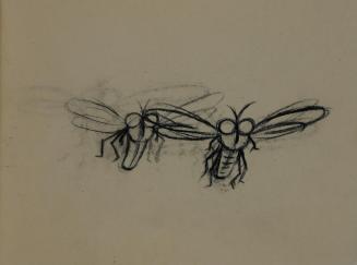 Alfred Wickenburg, Fliegen, 1952, Kohle auf Transparentpapier, Blattmaße: 14,2 × 19,2 cm, Leihg ...