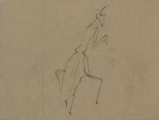 Alfred Wickenburg, Gottesanbeterin, 1952, Kohle auf Transparentpapier, Blattmaße: 14,2 × 19,2 c ...