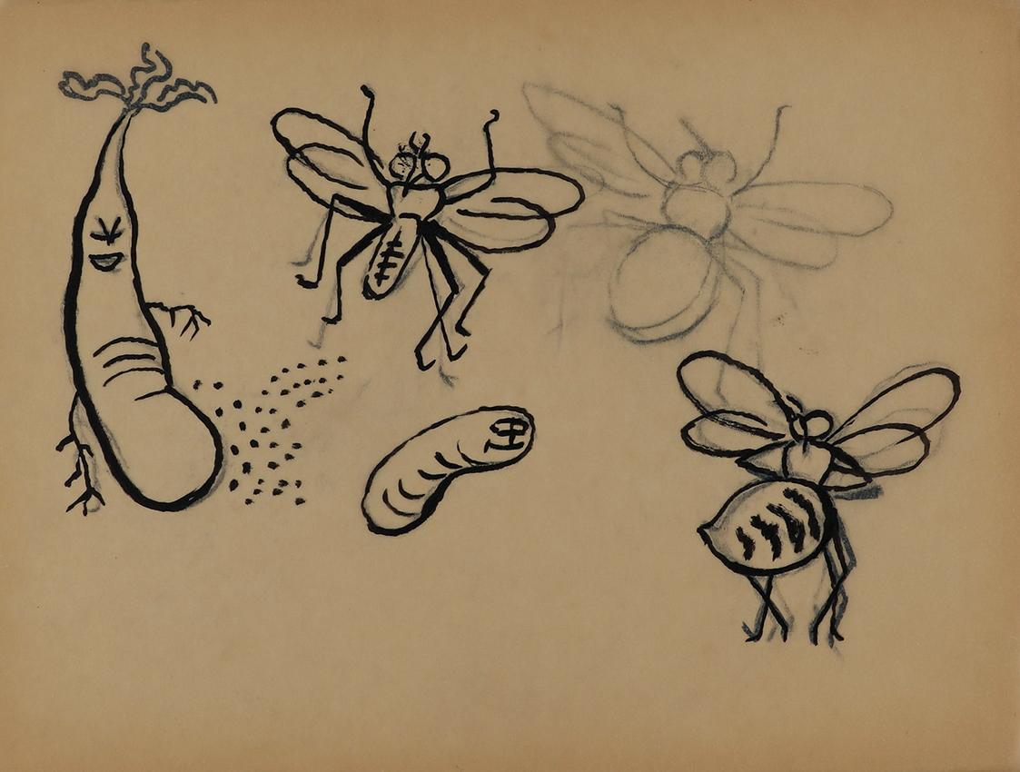 Alfred Wickenburg, Gemüse, Wurm und Fliegen, 1952, Tusche auf Transparentpapier, Blattmaße: 14, ...