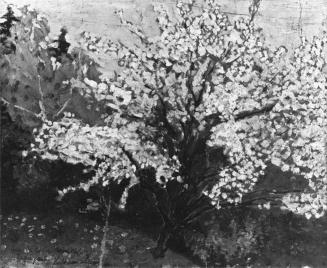 Koloman Moser, Blühender Baum, um 1912, Öl auf Karton, 30 x 35 cm, Verbleib unbekannt