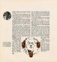 Koloman Moser, Einband für die Gründerausgabe, 1899, Buchdruck in Farbe, Blattmaße: 29 × 28,2 c ...