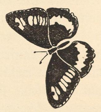 Koloman Moser, Illustration "Knabe und Schmetterling", 1899, Buchdruck, Blattmaße: 20 × 13 cm,  ...