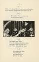 Koloman Moser, Illustration "Die Harfe", 1895, Buchdruck, Blattmaße: 18,1 × 11,7 cm, WStLa/Küns ...