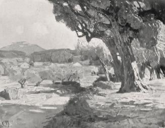 Carl Moll, Olivenhain, 1931, Öl, 34,5 × 35,5 cm, Unbekannter Besitz