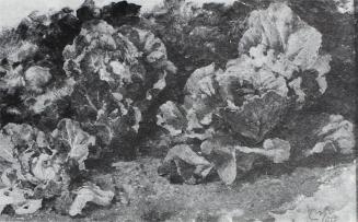 Carl Moll, Kleiner Krautgarten, 1884 um, Öl auf Papier, 11,5 × 18 cm, Unbekannter Besitz