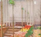 Carl Moll, Tulpen, 1903, Öl auf Leinwand, 81 × 80 cm, Courtesy Kunsthandel Freller, Linz