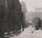 Carl Moll, Der Park von Schönbrunn mit Blick zur Gloriette, 1910 um, Öl auf Holz, 34 × 34 cm, U ...