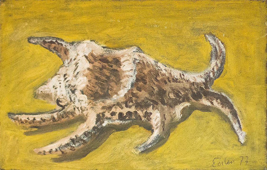 Georg Eisler, Helm-Muschel, 1977, Öl auf Leinwand, 19,5 × 30 cm, Sammlung Konrad, Wien