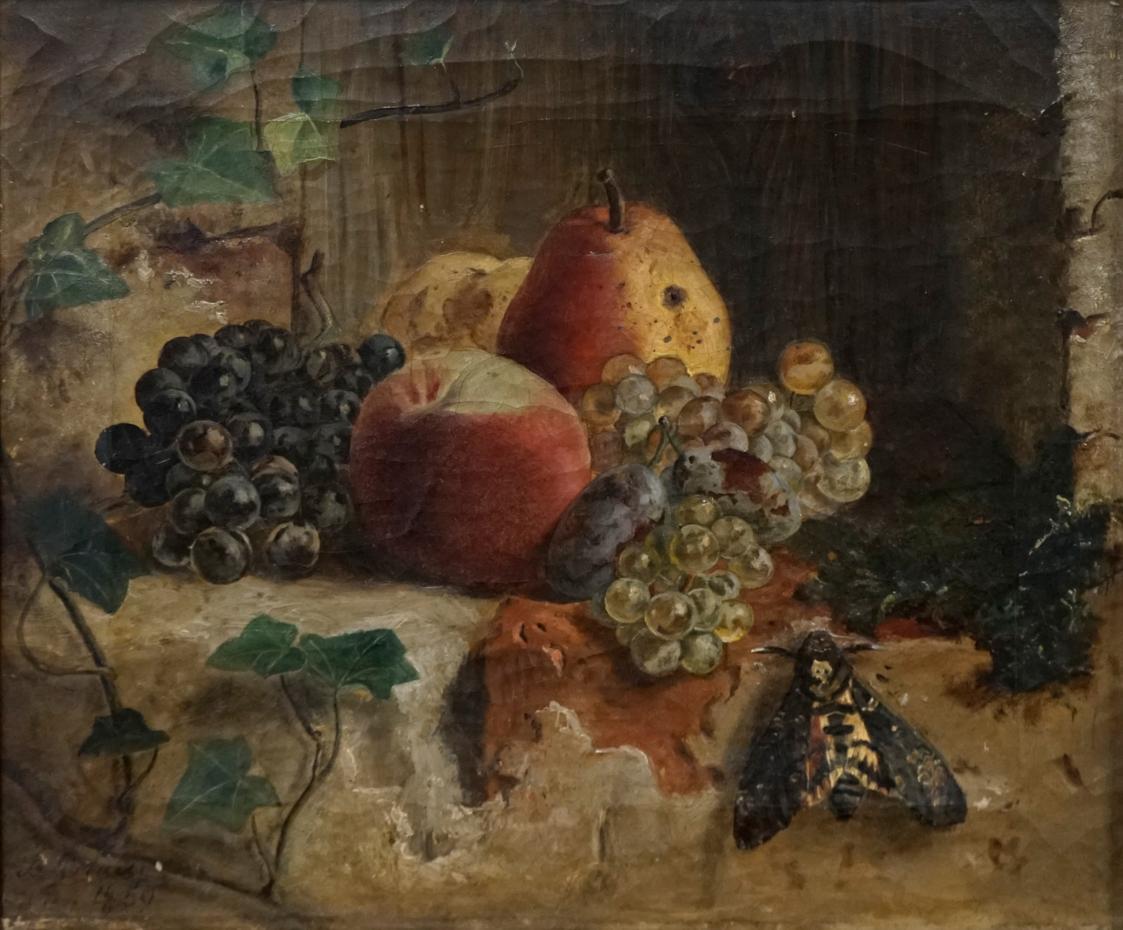 Tina Blau, Früchte, 1859, Öl auf Leinwand, 26,5 × 32 cm, Privatbesitz, New York