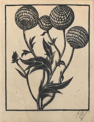 Otto Rudolf Schatz, Disteln, 1926, Holzschnitt auf Papier, 37,8 × 29,5 cm, Sammlung Inge und Er ...