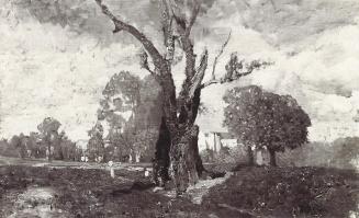 Tina Blau, Alter Baum im Prater, um 1881, Öl auf Leinwand, 31 × 48 cm, unbekannter Verbleib