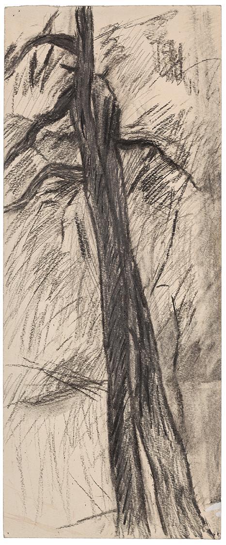 Kurt Hüpfner, Baum, 1963, Kohle und Kreide auf Papier, 41,3 × 17 cm, Privatbesitz, Wien
