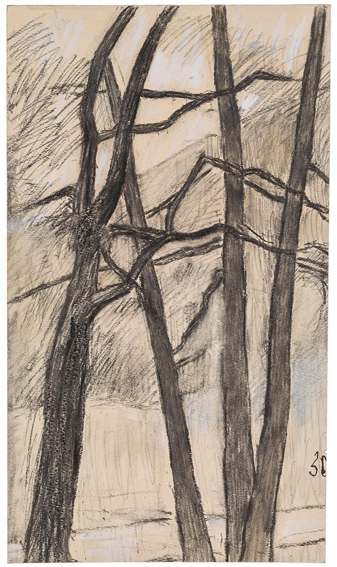 Kurt Hüpfner, Bäume, 1963, Kohle und Kreide auf Papier, 40 × 23 cm, Privatbesitz, Wien