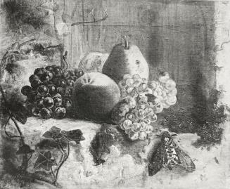 Tina Blau, Früchte, 1859, Öl auf Leinwand, 26,5 × 32 cm, Privatbesitz, New York