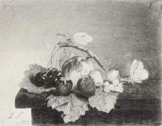 Tina Blau, Früchte. Wien, 1859, Öl auf Leinwand, 21,5 × 26,5 cm, unbekannter Verbleib