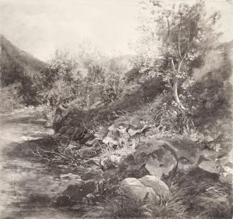 Tina Blau, Naßwald, 1865, Öl auf Leinwand, 36,2 × 39 cm, unbekannter Verbleib
