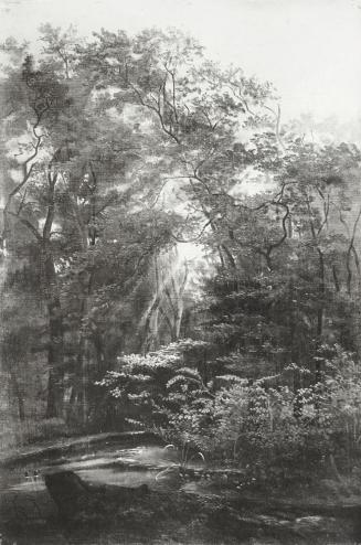 Tina Blau, Lundenburg, 1867, Öl auf Leinwand, unbekannter Verbleib