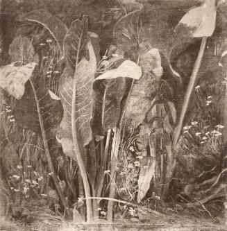 Tina Blau, Wasserpflanzen, um 1866, Öl auf Leinwand, unbekannter Verbleib