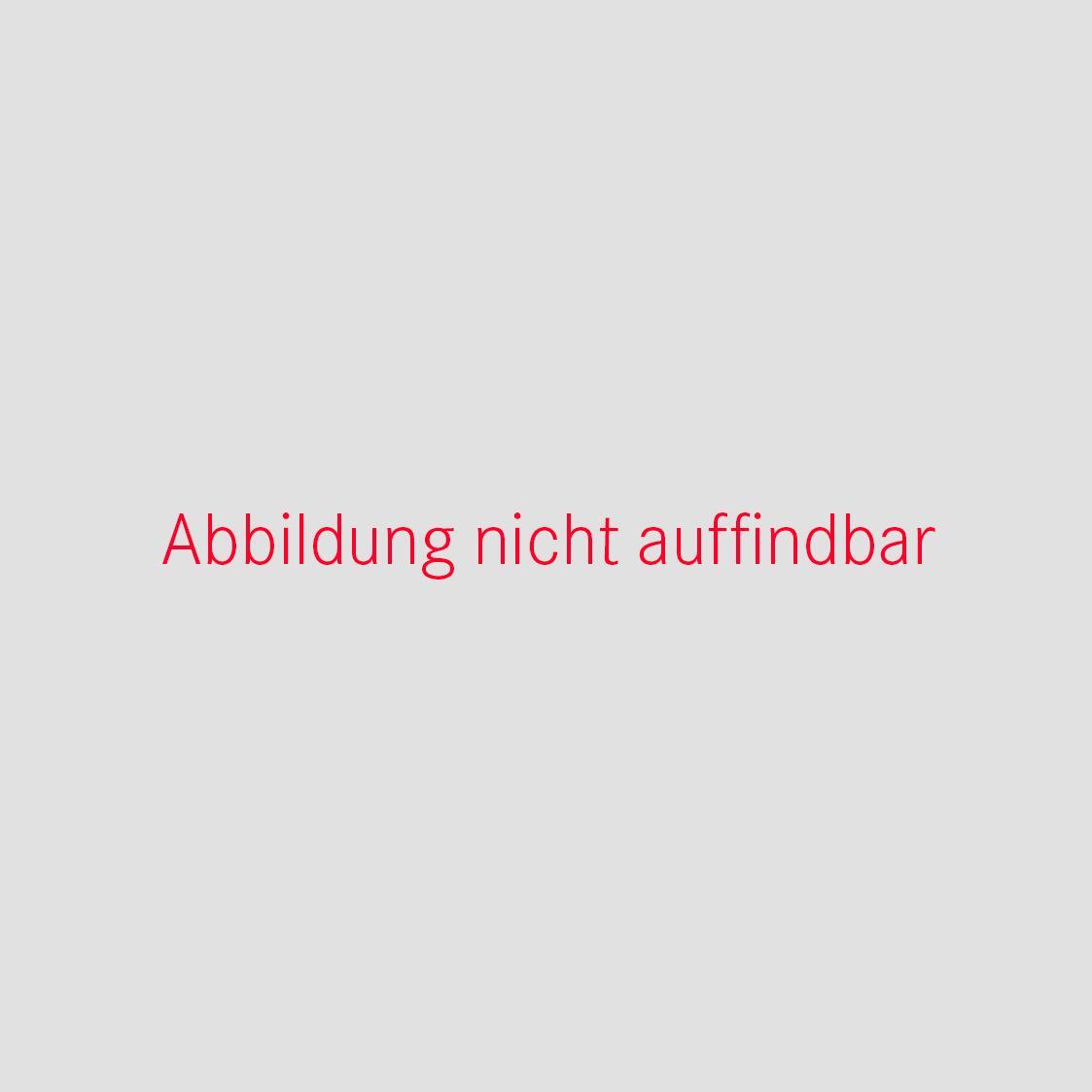 Entwurf für das Wandbild in Sachsenbrunn