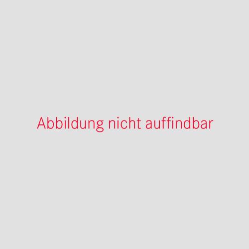 Entwurf für das Wandbild in Sachsenbrunn