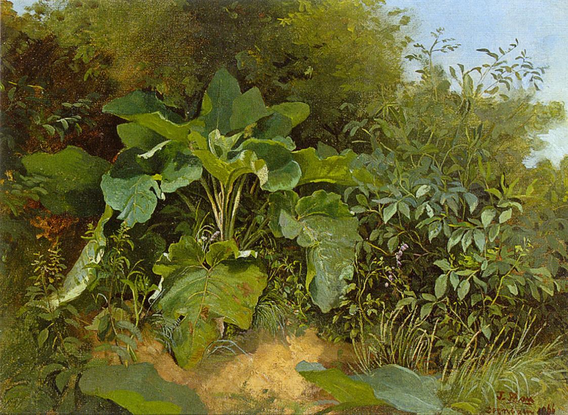 Tina Blau, Wiesenstück, 1866, Öl auf Leinwand, 36,6 × 49,2 cm, Privatbesitz