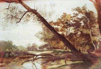 Tina Blau, Aulandschaft, um 1864, Öl auf Karton, Roser-De Palma: 27,5 × 41 cm, unbekannter Verb ...