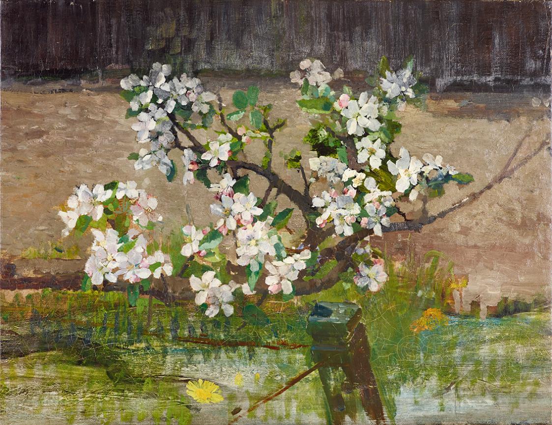 Tina Blau, Apfelblüten, nach 1894, Öl auf Leinwand, 55,5 × 72 cm, Leopold Museum, Wien, Inv.-Nr ...