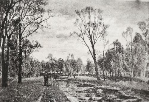 Tina Blau, Rondeau beim Prater, 1894, Öl auf Leinwand, 78 × 113 cm, unbekannter Verbleib