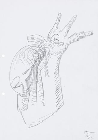 Kurt Hüpfner, Ohne Titel, 1994, Bleistift auf Papier, 29,7 × 21 cm, Privatbesitz, Wien